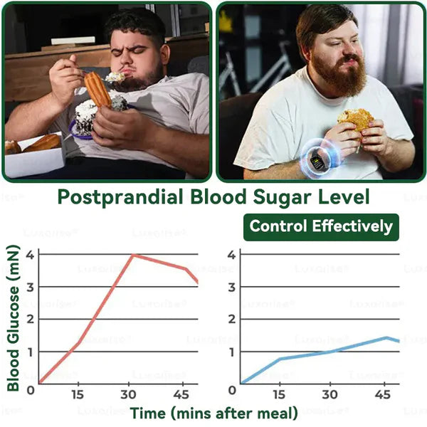 Moringa & Berberine 10-in-1 Advanced Nano Microneedle Patch