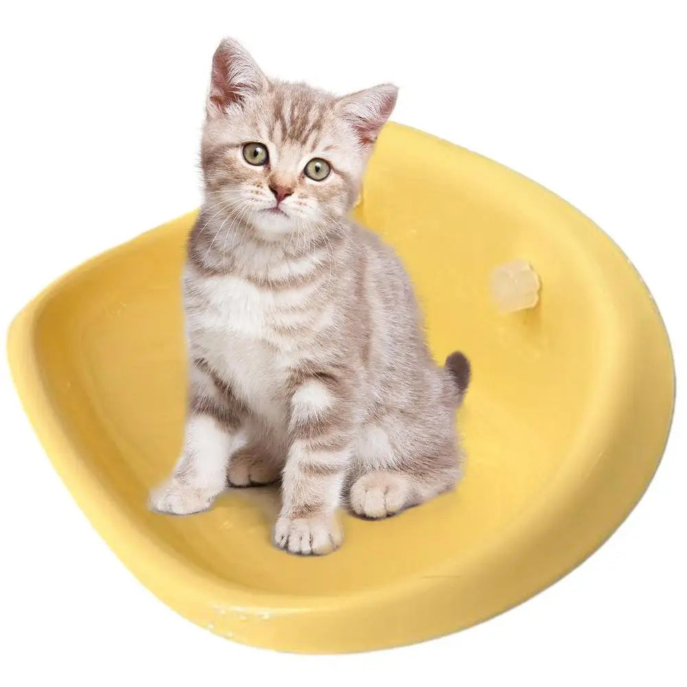 Zavinox™ Window Perch For Cat
