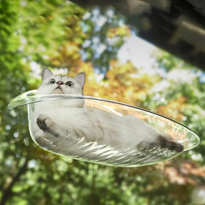 Zavinox™ Window Perch For Cat