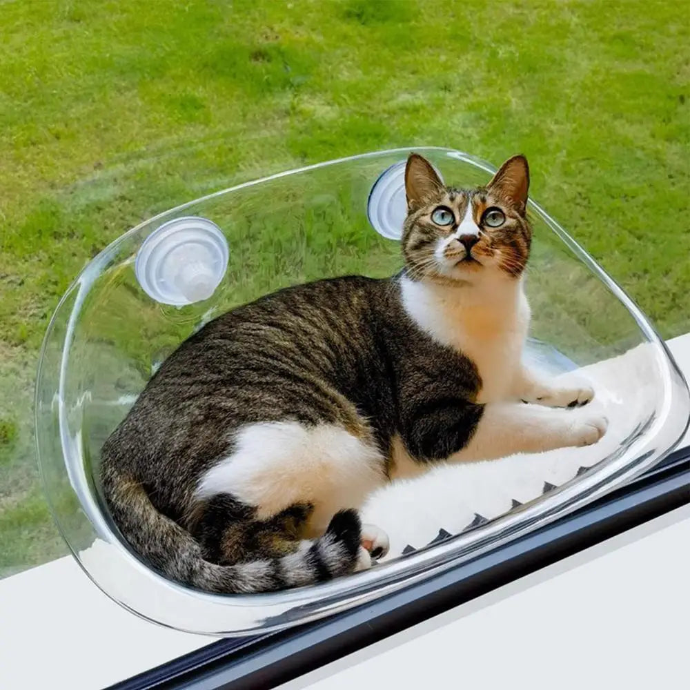 Zavinox™ Window Perch For Cat
