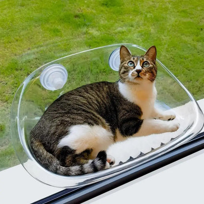 Zavinox™ Window Perch For Cat