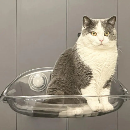 Zavinox™ Window Perch For Cat