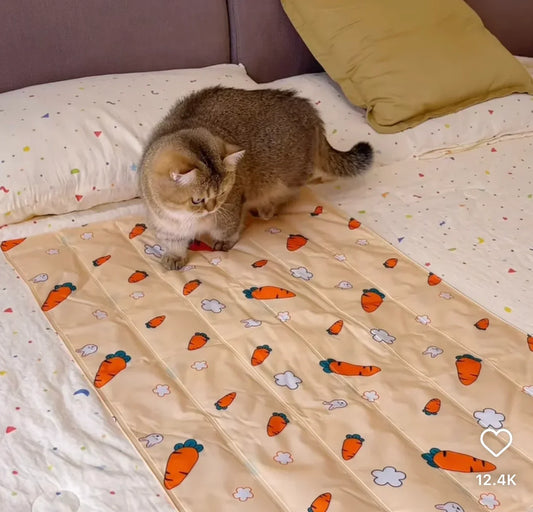 Zavinox™ Pet Summer ICE Bed